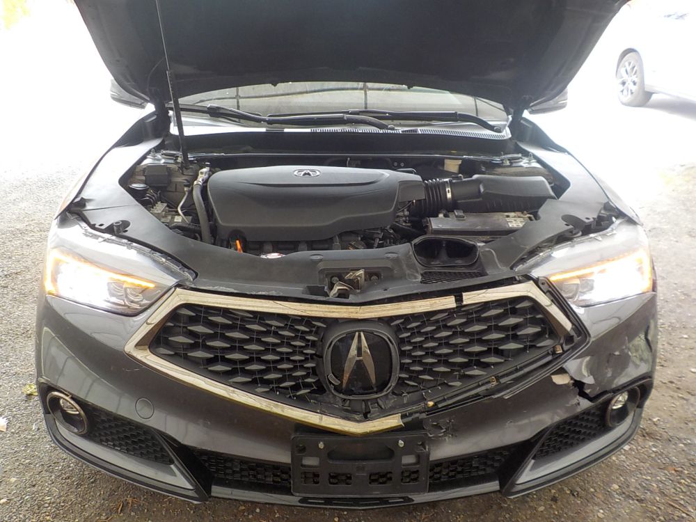 2019 Acura TLX - photo 16