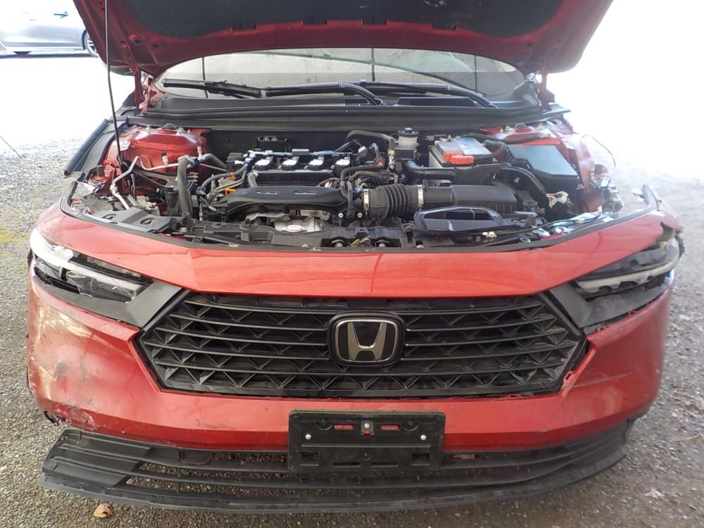 2024 Honda Accord - photo 14