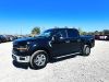 2024 Ford F150 XLT 4X4