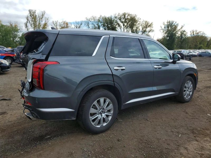 2025 Hyundai Palisade - photo 3