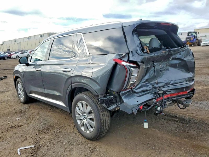 2025 Hyundai Palisade - photo 4