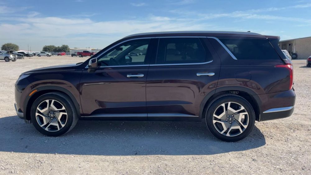 2025 Hyundai Palisade - photo 2