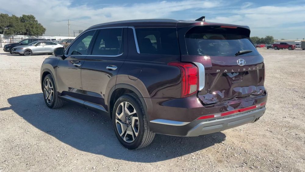 2025 Hyundai Palisade - photo 3