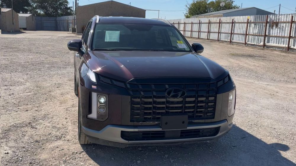 2025 Hyundai Palisade - photo 8
