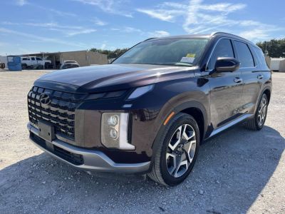 2025 Hyundai Palisade