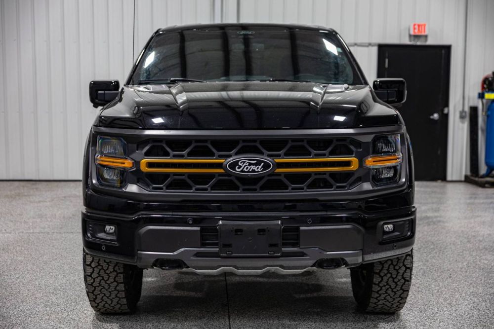 2025 Ford F-150 Tremor 4WD - photo 8