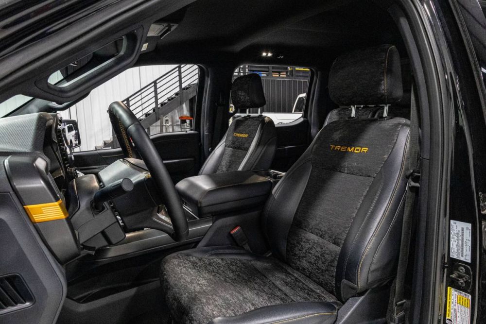 2025 Ford F-150 Tremor 4WD - photo 9