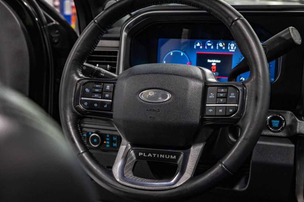 2025 Ford F-250 Super Duty Platinum 4WD - photo 11
