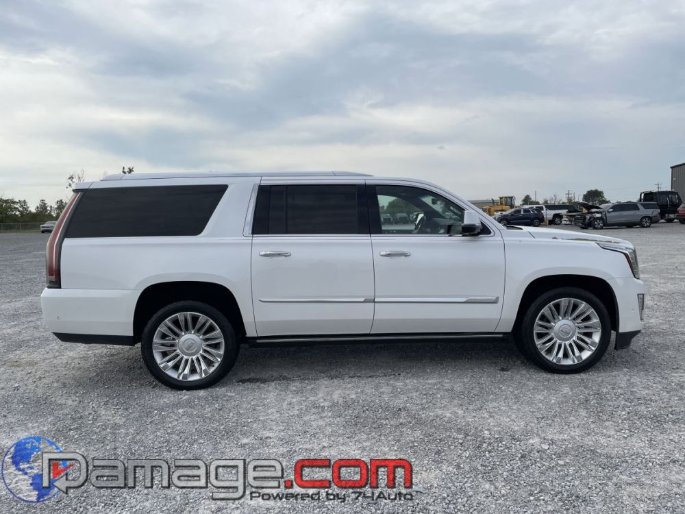 2018 Cadillac Escalade ESV Platinum 4X4 - photo 3