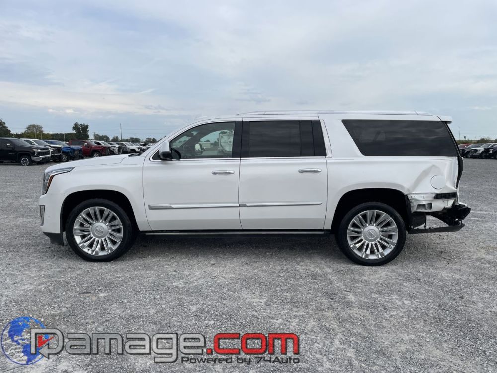 2018 Cadillac Escalade ESV Platinum 4X4 - photo 4