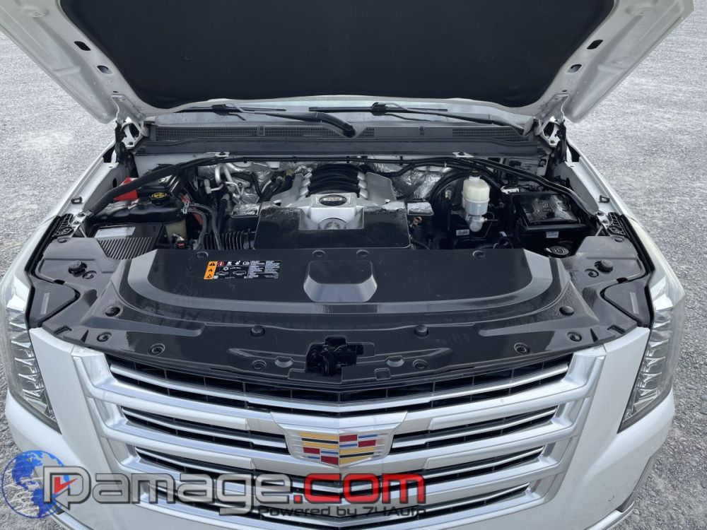 2018 Cadillac Escalade ESV Platinum 4X4 - photo 9