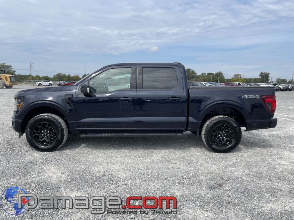 2025 Ford F-150 Crewcab 4X4 - photo 3