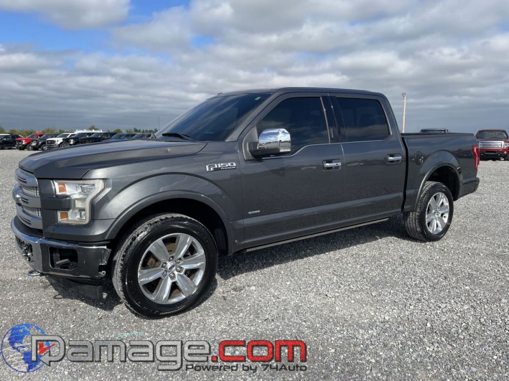 2017 Ford F-150 Crewcab 4X4 Platinum - photo 1