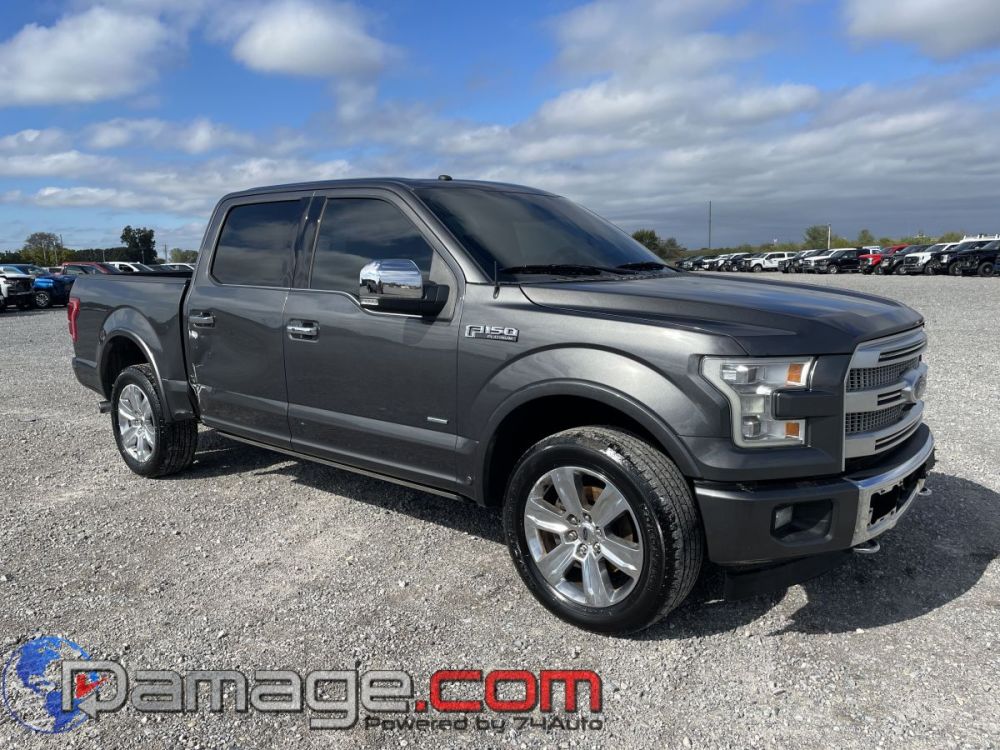 2017 Ford F-150 Crewcab 4X4 Platinum - photo 2