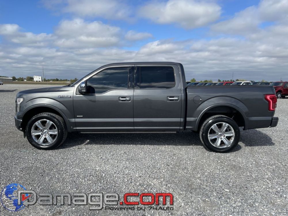 2017 Ford F-150 Crewcab 4X4 Platinum - photo 3