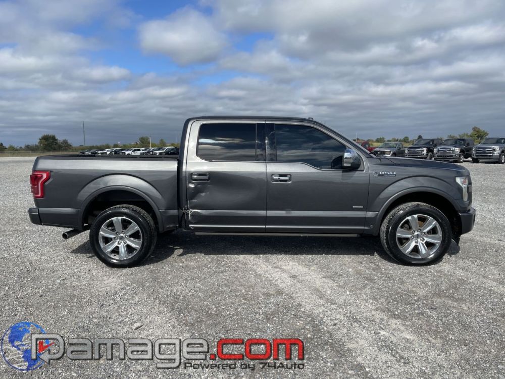 2017 Ford F-150 Crewcab 4X4 Platinum - photo 4