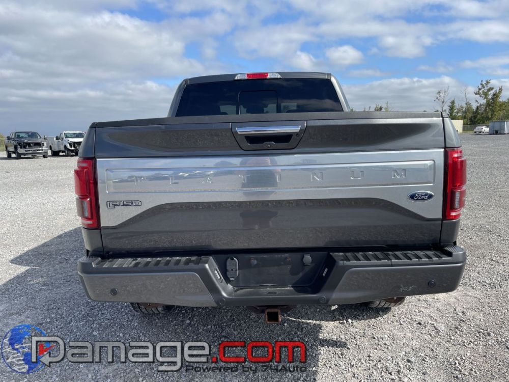 2017 Ford F-150 Crewcab 4X4 Platinum - photo 7