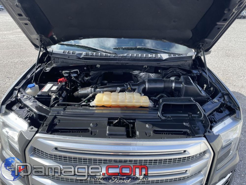 2017 Ford F-150 Crewcab 4X4 Platinum - photo 9