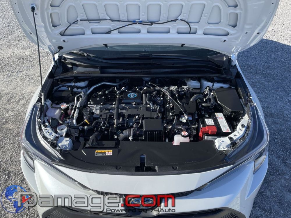 2024 Toyota Corolla Hybrid LE AWD - photo 9