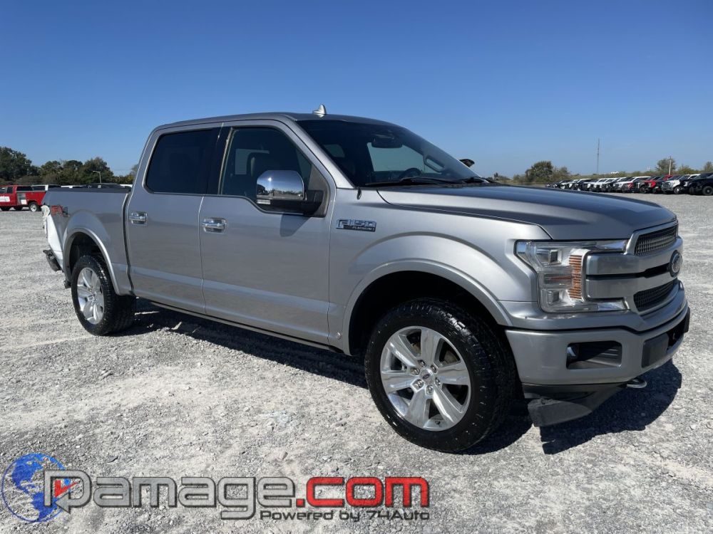 2020 Ford F-150 Crewcab 4X4 Platinum - photo 2