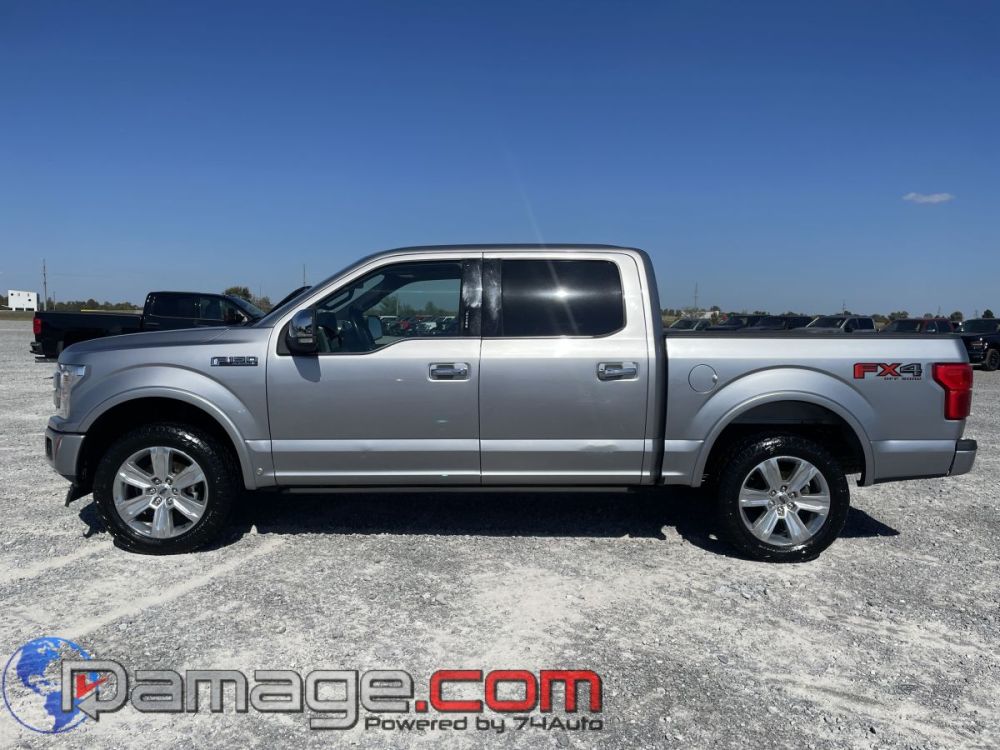 2020 Ford F-150 Crewcab 4X4 Platinum - photo 3