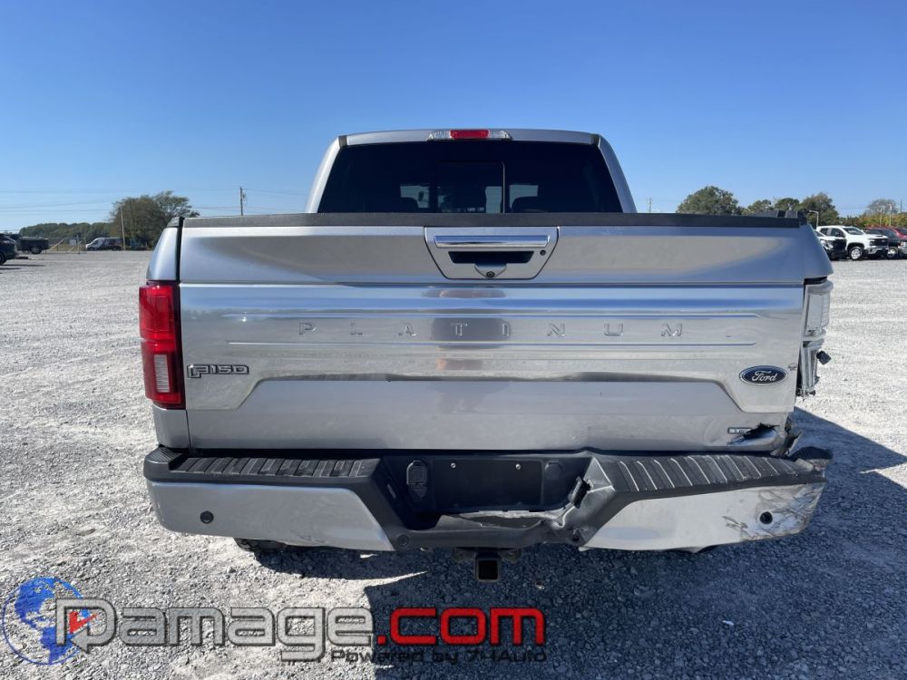2020 Ford F-150 Crewcab 4X4 Platinum - photo 7