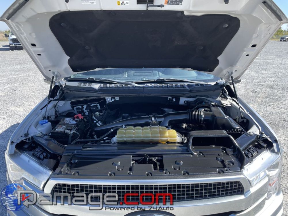 2020 Ford F-150 Crewcab 4X4 Platinum - photo 9