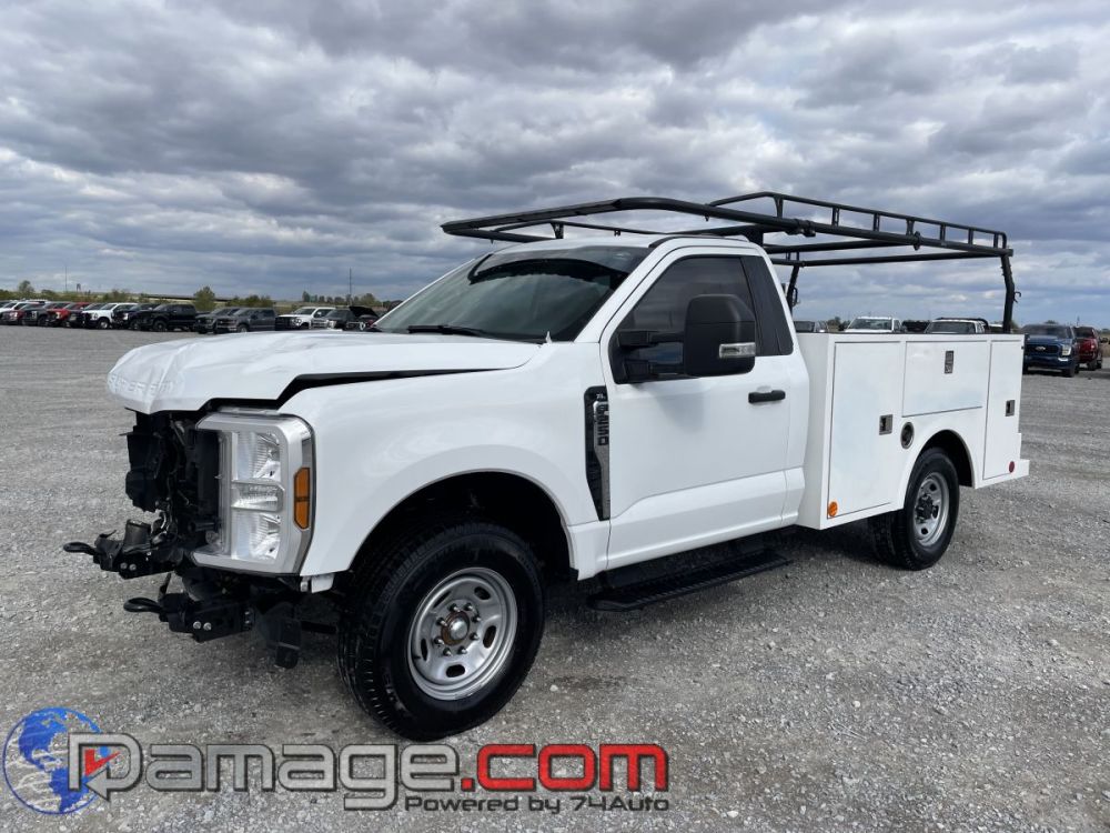 2025 Ford F-250 RegCab RWD - photo 1