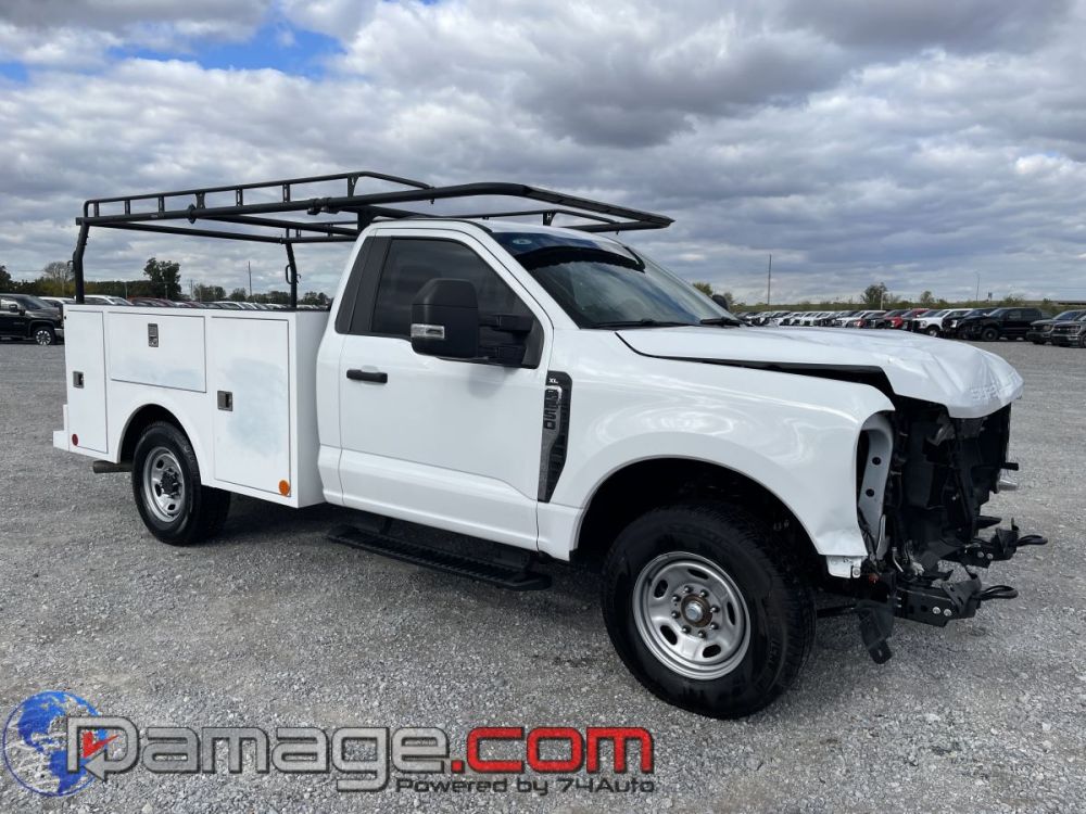 2025 Ford F-250 RegCab RWD - photo 2