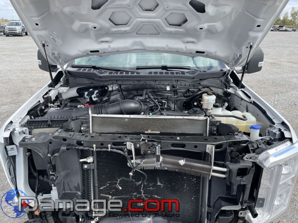 2025 Ford F-250 RegCab RWD - photo 9