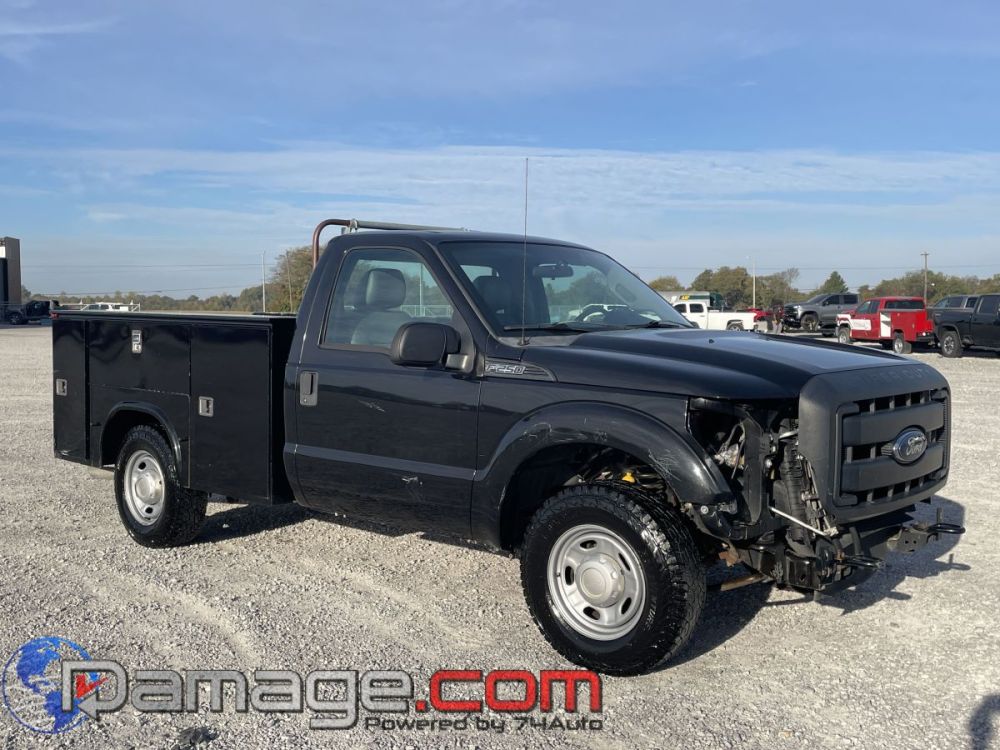 2014 Ford F-250 RegCab RWD - photo 1