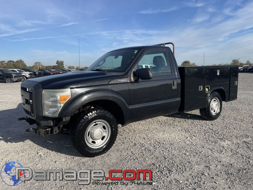 2014 Ford F-250 RegCab RWD - photo 2