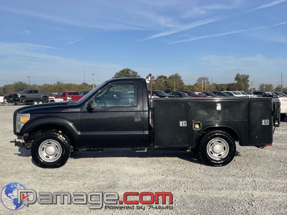 2014 Ford F-250 RegCab RWD - photo 3