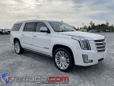 2018 Cadillac Escalade ESV Platinum 4X4