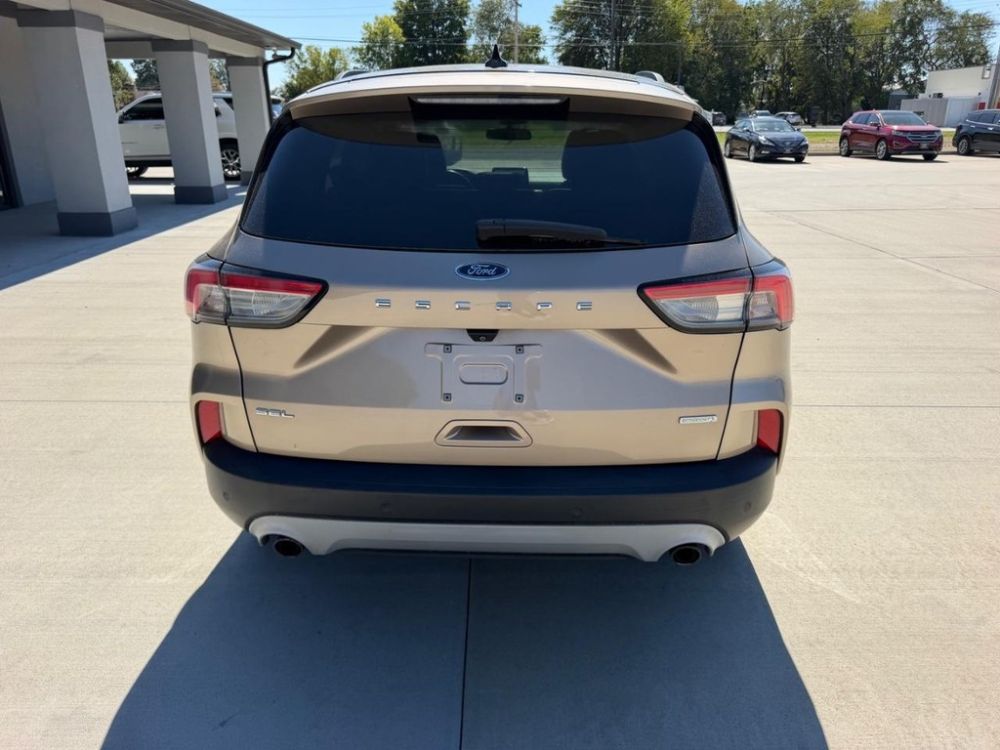 2020 Ford Escape - photo 4