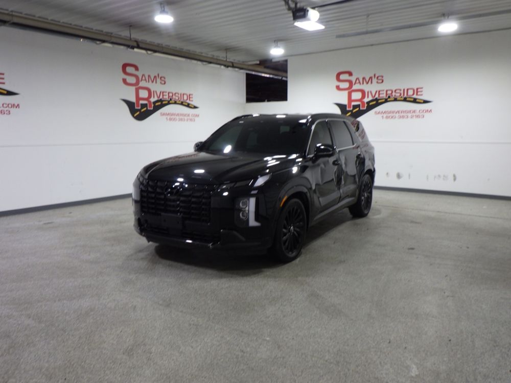 2025 Hyundai Palisade Calligraphy Night Edition AWD - photo 1